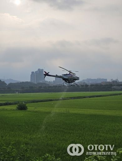 시흥시, 2024년 벼 병해충 항공방제 추진 완료