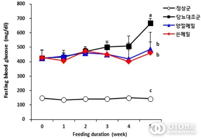 쓴메밀 ‘황금미소’ 항당뇨 효과(특허, 10-2021-0139466)