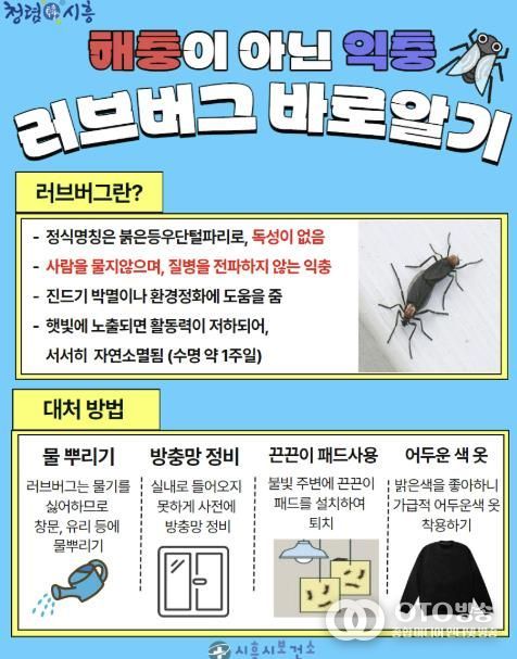 '러브버그 바로알기' 포스터