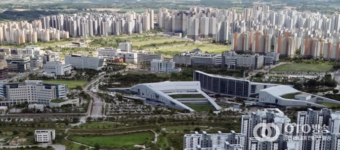 충남도cjd