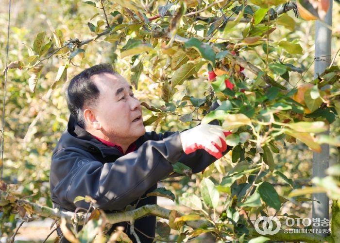충남교육청 직원들, 예산 농가에 ‘가을의 손길’ 전하다