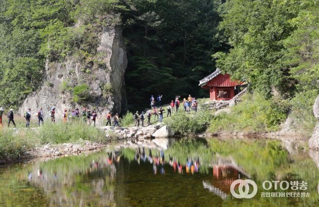 등산 가이드와 함께하는 동서트레일 울진 구간(52~55구간)
