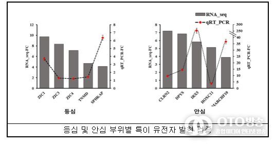 한우 고기 부위별 전사체 분석 결과