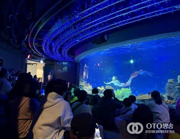 수원특례시 드림스타트 아동·가족이 아쿠아플라넷 관람을 하고 있다.