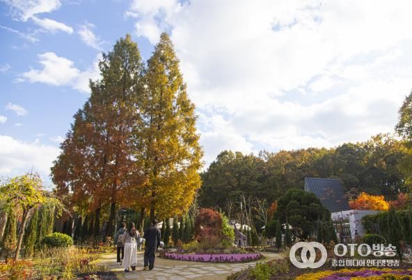 무릉도원수목원