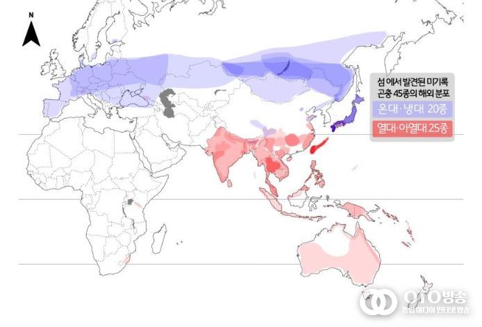 섬에서 발견된 미기록종 곤충의 해외 분포도