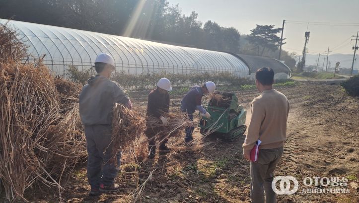 충남도, 영농부산물 연말까지 집중 파쇄 지원