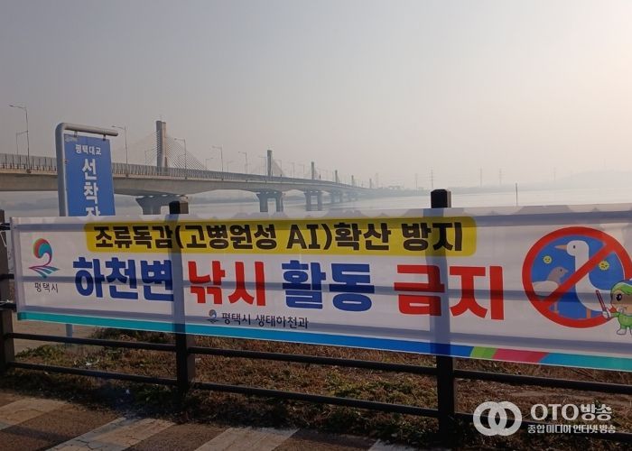 평택시, 고병원성 조류인플루엔자 확산 방지를 위해 하천 내 낚시행위 금지 계도 나서