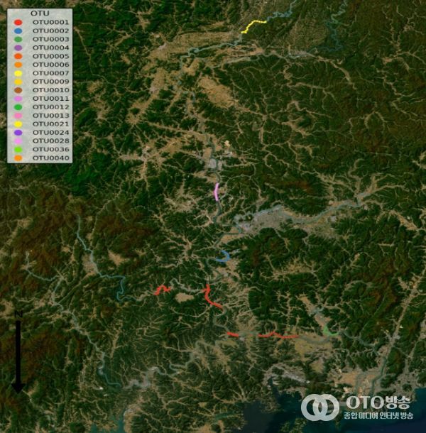 낙동강수계 유전형 분포
