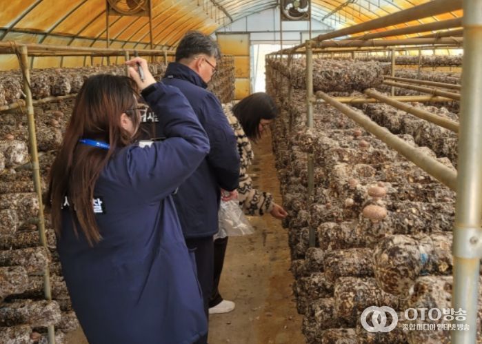 표고 생산농가 유통조사