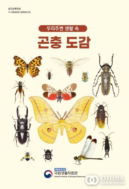 '우리 주변 생활 속 곤충도감 도감' 표지
