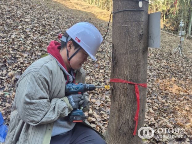 진주시험림 수액 채취