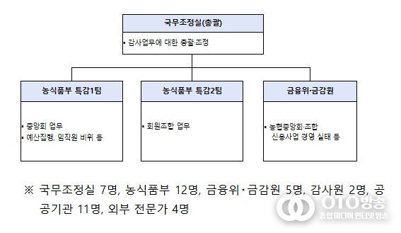 정부합동 특별감사반 구성 및 인원