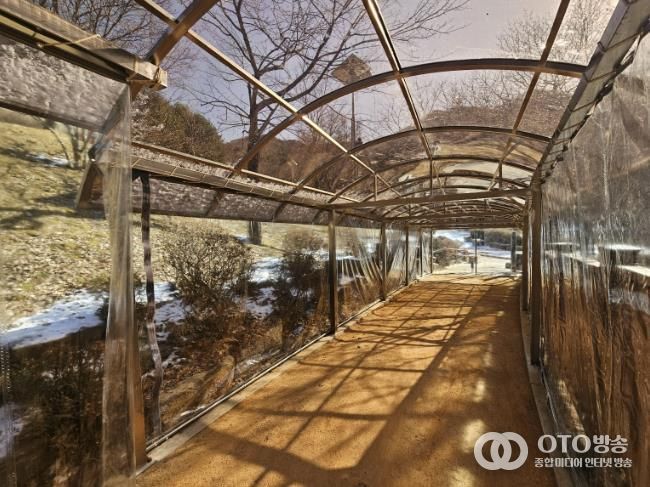 병목안시민공원 맨발산책길에 설치한 지붕 캐노피와 방한 비닐막 사진