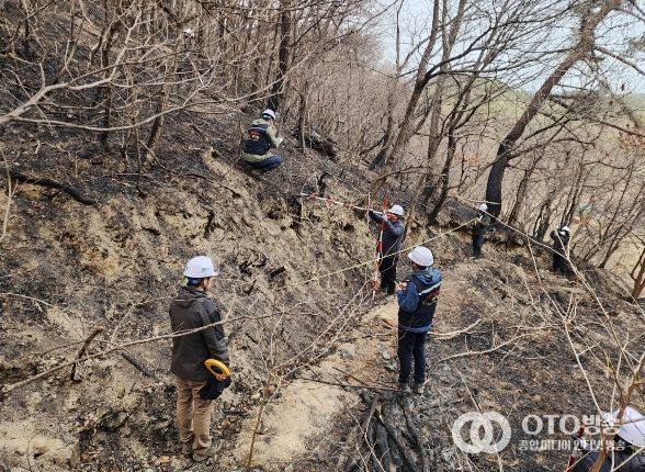 산림청은 경상남도 함양군과 밀양시의 산불 피해지역에 대해 2차 피해 예방을 위한 긴급진단을 하고있다