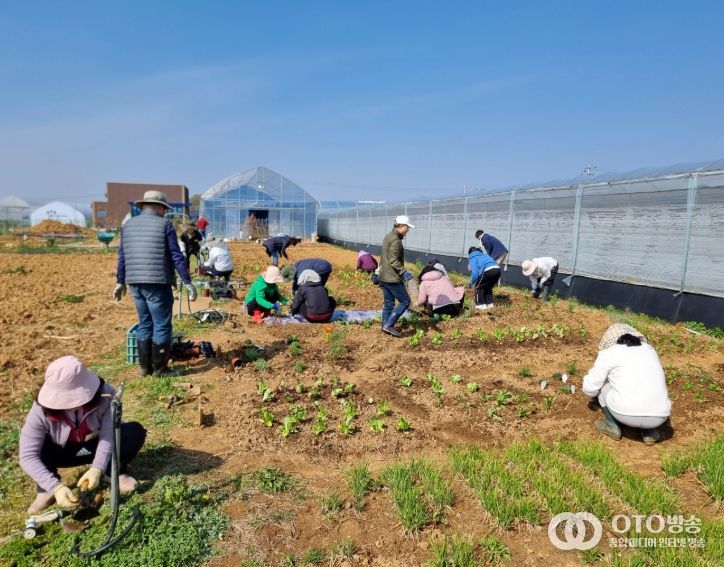 1. 천안 도시농업전문가 양성과정 교육생들이 천연농약 만들기 실습을 하고 있다.