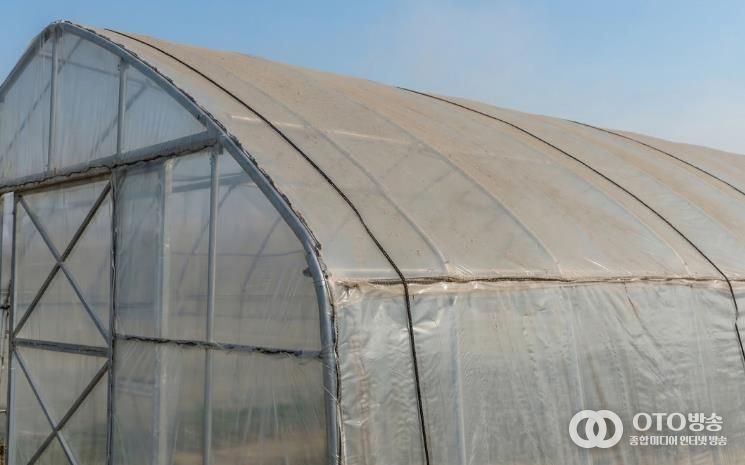 시설하우스 위 미세먼지·황사 사진