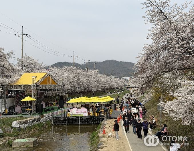 1. 천안문화재단이 원성천 벚꽃길에서 문화가 흐르는 산책로를 운영하고 있다.