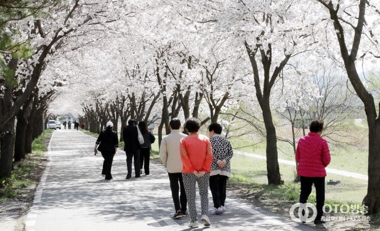 안성에 봄이 내려앉았다‥