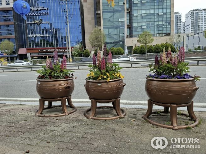 봄꽃 식재 모습